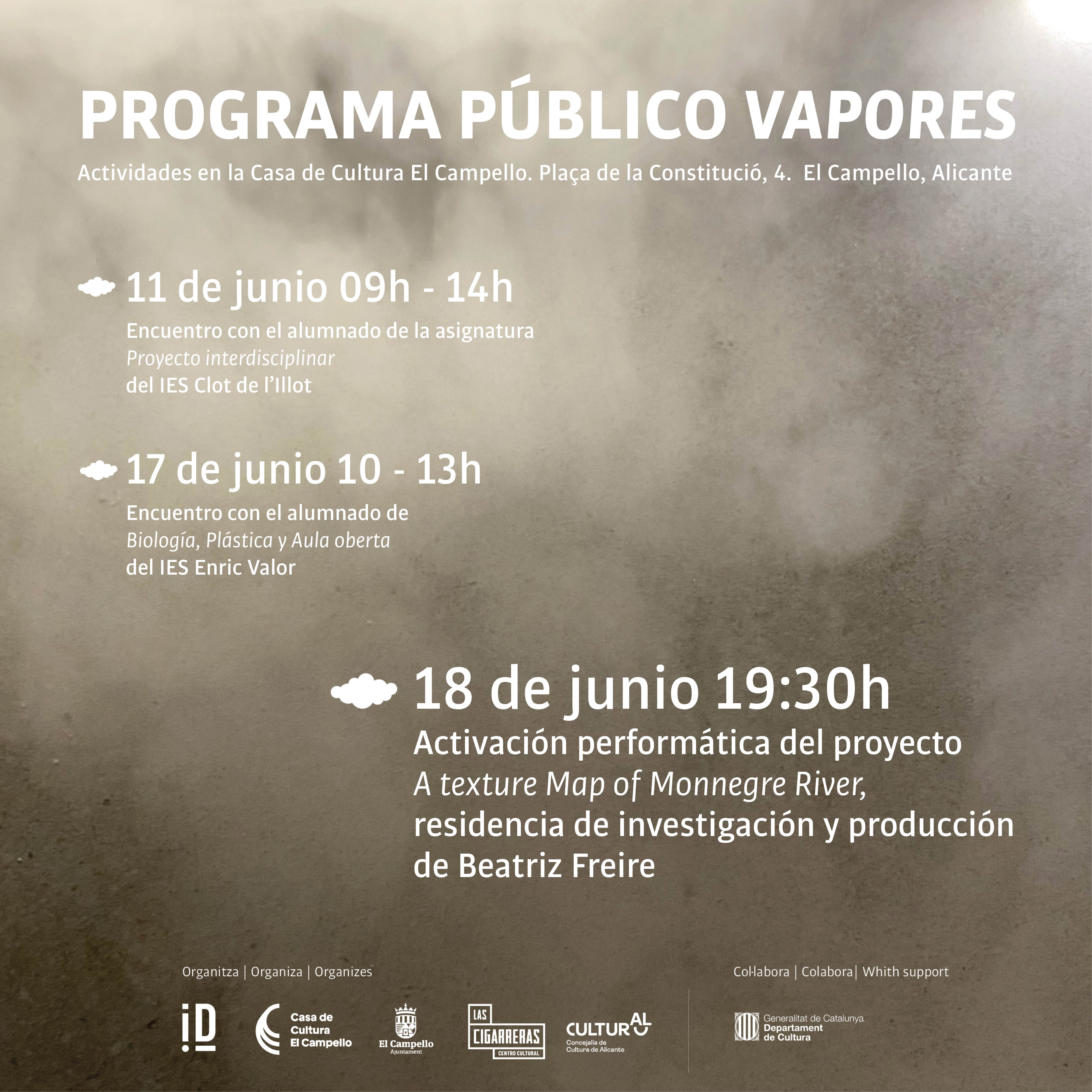 CARTEL PROGRAMA PÚBLICO